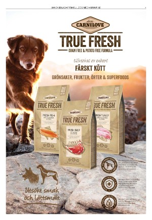 goteborgstidningen_sport-20220103_000_00_00_007.pdf