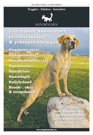 goteborgstidningen_sport-20220103_000_00_00_011.pdf