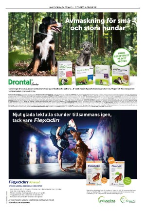 goteborgstidningen_sport-20220103_000_00_00_013.pdf