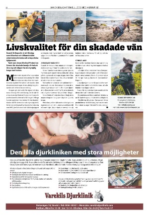 goteborgstidningen_sport-20220103_000_00_00_022.pdf