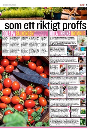 goteborgstidningen_sport-20230226_000_00_00_009.pdf