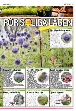 goteborgstidningen_sport-20230528_000_00_00_009.pdf