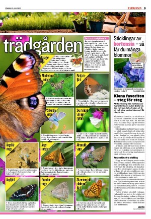 goteborgstidningen_sport-20230702_000_00_00_009.pdf