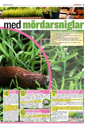 goteborgstidningen_sport-20230730_000_00_00_009.pdf