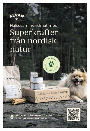 goteborgstidningen_sport-20230923_000_00_00_005.pdf