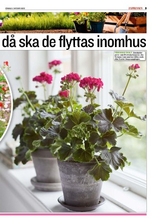 goteborgstidningen_sport-20231001_000_00_00_009.pdf