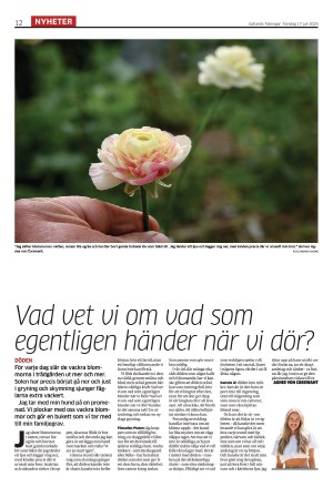gotlandstidningar-20250717_000_00_00_012.pdf