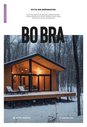 gotlandstidningar-20260114_000_00_00_015.pdf