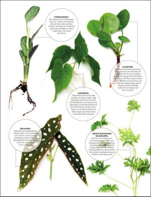 gp_tvadagar-20170225_000_00_00_008.pdf