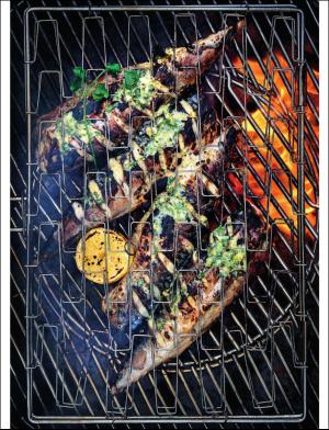 gp_tvadagar-20170603_000_00_00_006.pdf