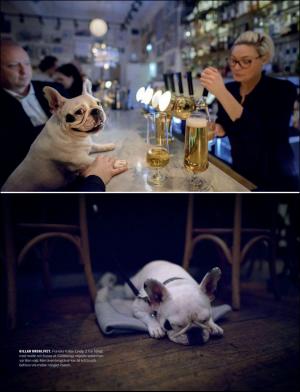 gp_tvadagar-20180217_000_00_00_015.pdf