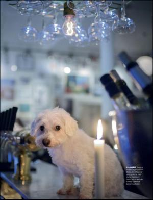 gp_tvadagar-20180217_000_00_00_018.pdf