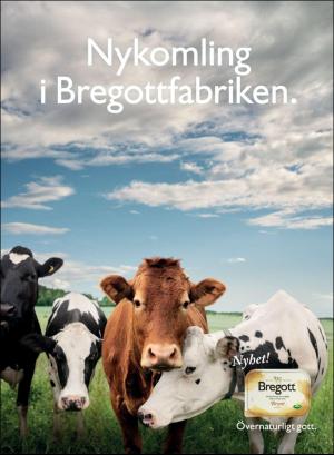 gp_tvadagar-20180526_000_00_00_005.pdf