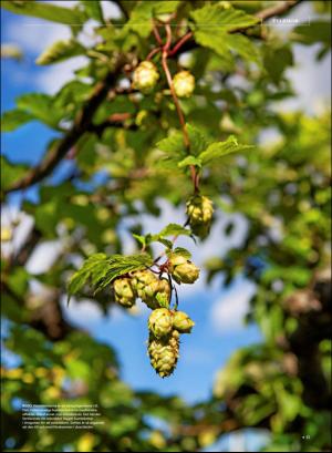 gp_tvadagar-20180922_000_00_00_013.pdf