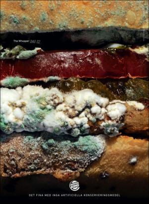 gp_tvadagar-20200222_000_00_00_032.pdf