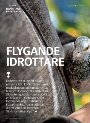 gp_tvadagar-20200613_000_00_00_012.pdf