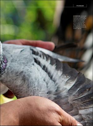 gp_tvadagar-20200613_000_00_00_013.pdf