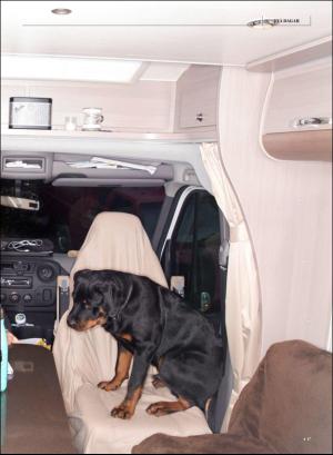 gp_tvadagar-20201121_000_00_00_017.pdf