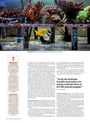 gp_tvadagar-20201205_000_00_00_020.pdf