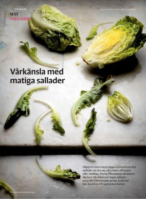 gp_tvadagar-20210417_000_00_00_022.pdf