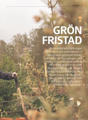 gp_tvadagar-20210605_000_00_00_013.pdf