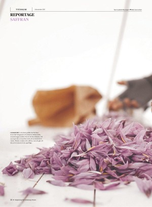 gp_tvadagar-20211204_000_00_00_022.pdf