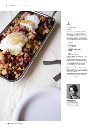 gp_tvadagar-20260131_000_00_00_026.pdf