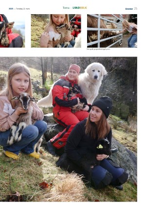 grannar_gratis-20250313_000_00_00_025.pdf