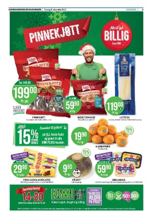 gudbrandsdolen-20251216_000_00_00_003.pdf