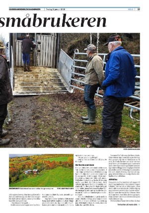 gudbrandsdolen-20260109_000_00_00_027.pdf