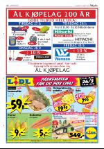 hallingdolen-20070324_000_00_00_036.pdf