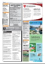 hallingdolen-20090620_000_00_00_037.pdf