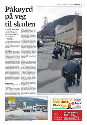 hallingdolen-20181120_000_00_00_003.pdf