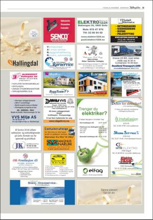 hallingdolen-20181120_000_00_00_011.pdf