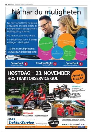 hallingdolen-20181122_000_00_00_030.pdf