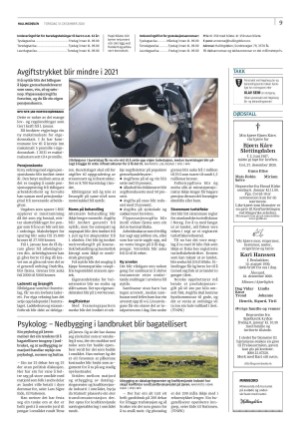 hallingdolen-20201231_000_00_00_009.pdf