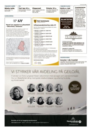 hallingdolen-20211002_000_00_00_041.pdf