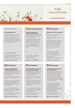 hallingdolen-20211002_000_00_00_045.pdf