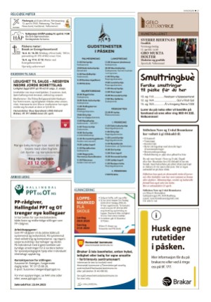 hallingdolen-20250410_000_00_00_021.pdf