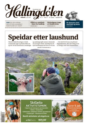 Hallingdølen 03.07.25