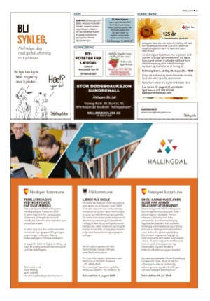 hallingdolen-20250719_000_00_00_033.pdf
