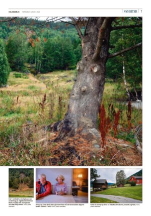 hallingdolen-20250807_000_00_00_007.pdf