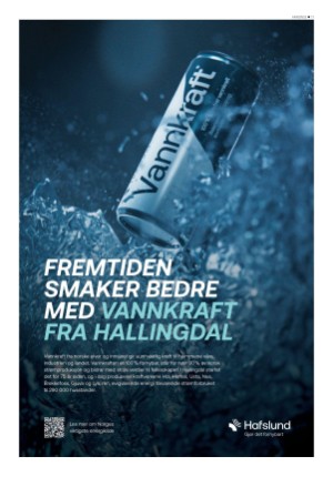 hallingdolen-20251016_000_00_00_011.pdf