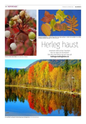 hallingdolen-20251016_000_00_00_014.pdf