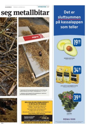 hallingdolen-20251016_000_00_00_017.pdf