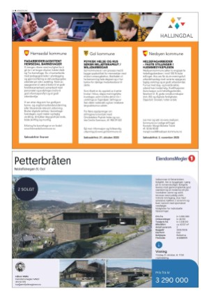hallingdolen-20251018_000_00_00_034.pdf