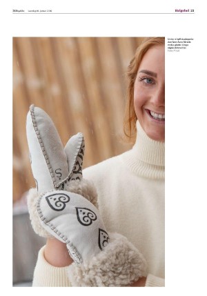 hallingdolen-20260110_000_00_00_023.pdf