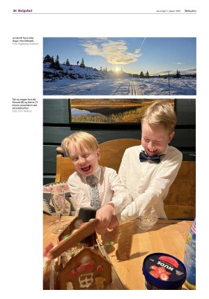 hallingdolen-20260110_000_00_00_028.pdf