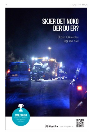 hallingdolen-20260110_000_00_00_044.pdf