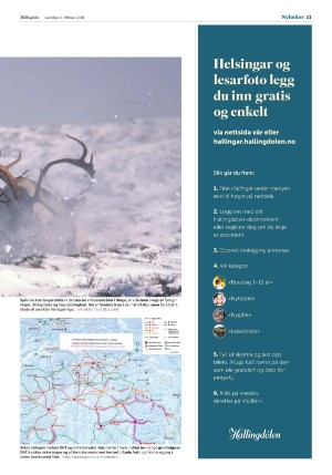 hallingdolen-20260221_000_00_00_013.pdf